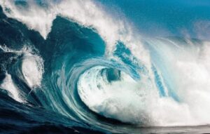 The Wave